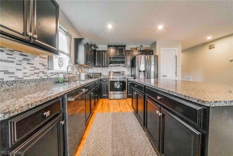 369 Pebble Creek Court Amherst OH 44001