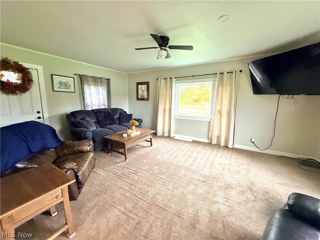 7725 Proctor Road Painesville OH 44077