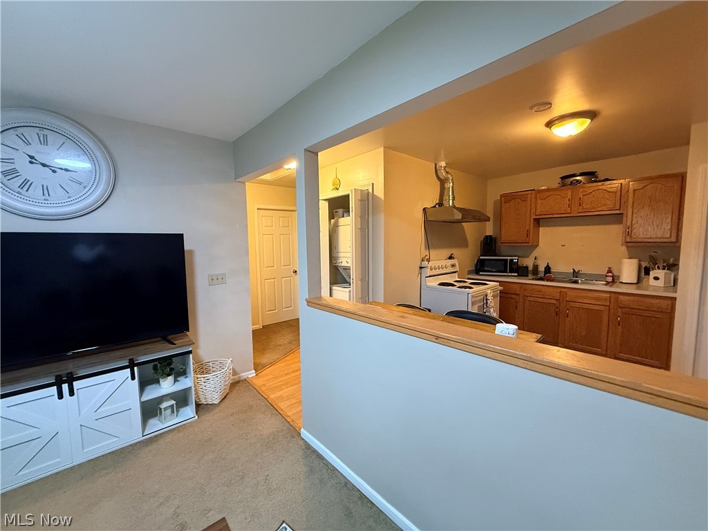 7725 Proctor Road Painesville OH 44077