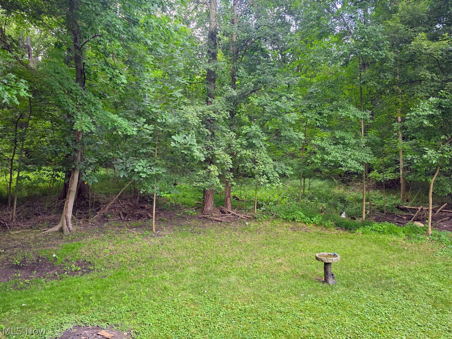 13 Beau Bay Boulevard Chippewa Lake OH 44215