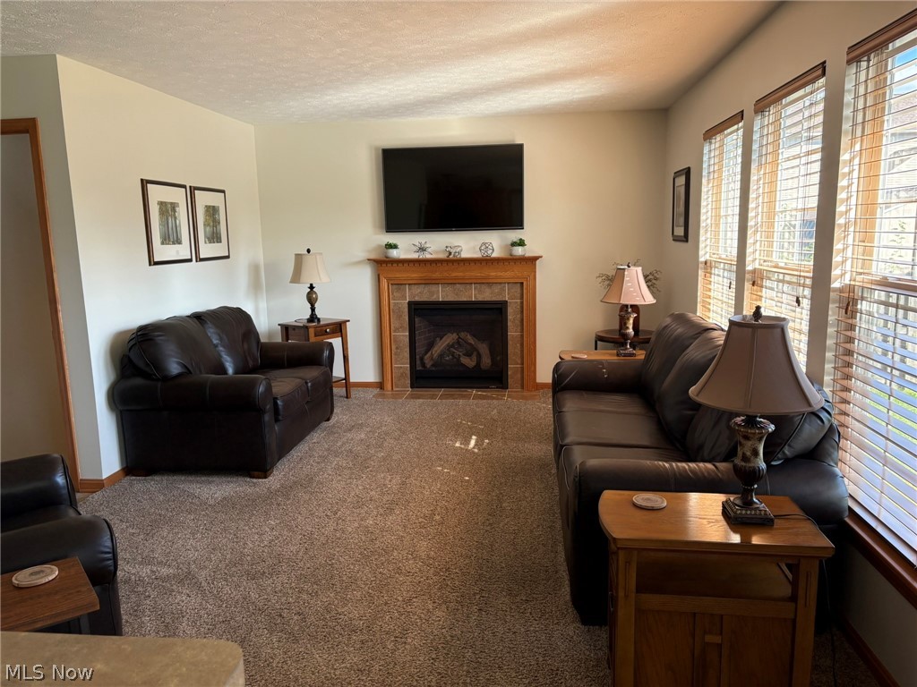 203 Rivers Edge Drive Amherst OH 44001