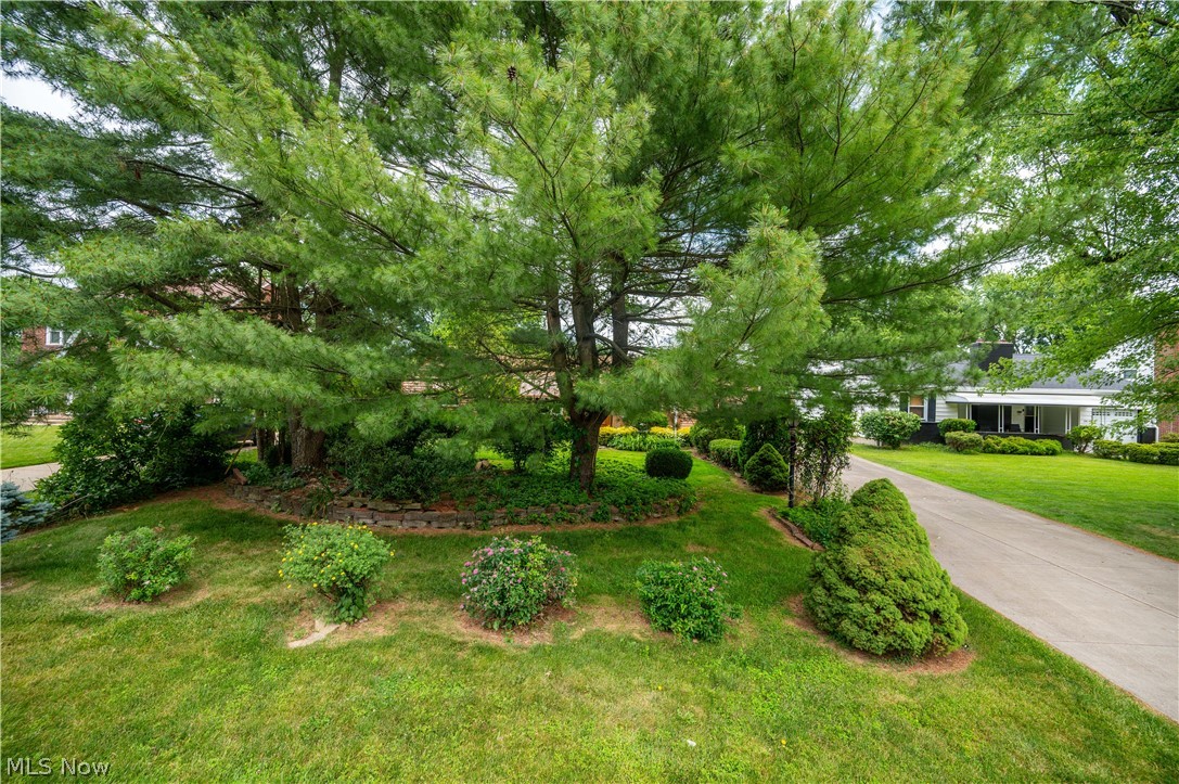 364 Brookfield Avenue Boardman OH 44512