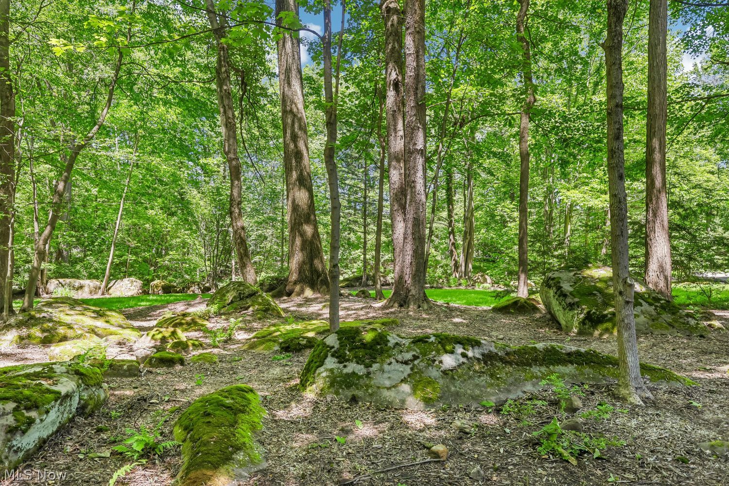 8395 Lucerne Drive Chagrin Falls OH 44023