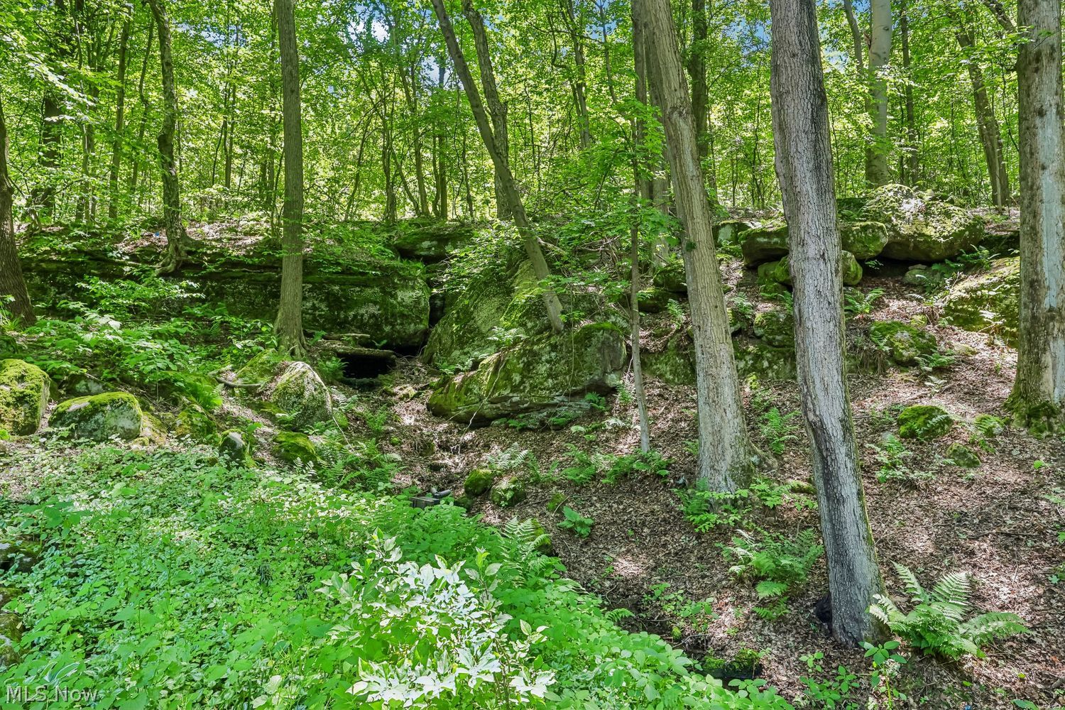 8395 Lucerne Drive Chagrin Falls OH 44023