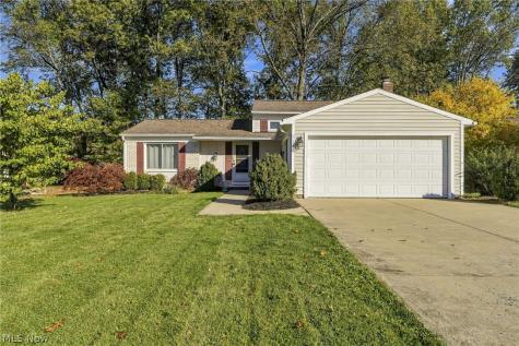 26956 Oxford Park Lane Olmsted Twp OH 44138