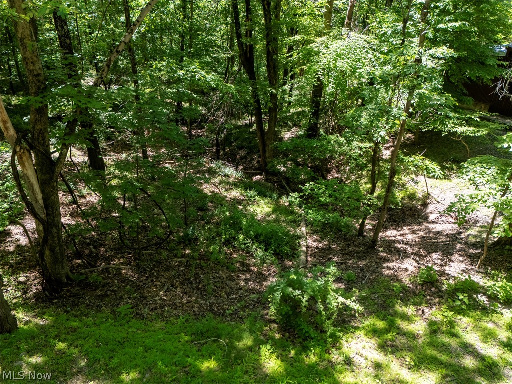 16135 Township Road 211 Loudonville OH 44842