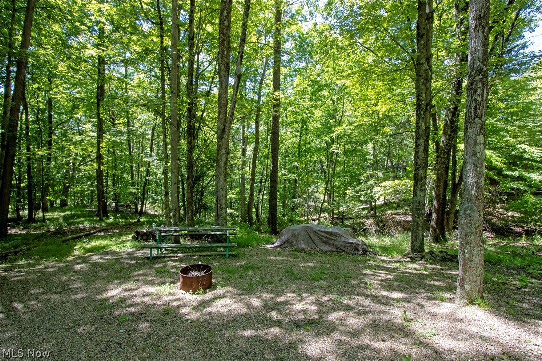 16135 Township Road 211 Loudonville OH 44842