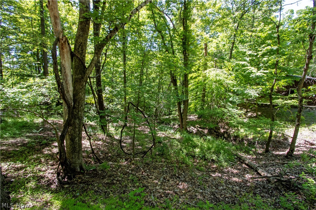 16135 Township Road 211 Loudonville OH 44842