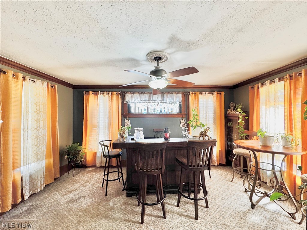 179 S Eagle Street Geneva OH 44041