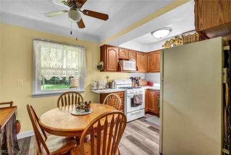 301 E 317th Street Willowick OH 44095