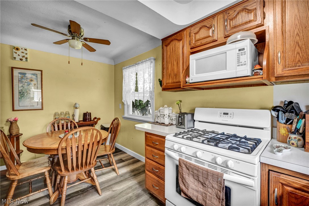 301 E 317th Street Willowick OH 44095