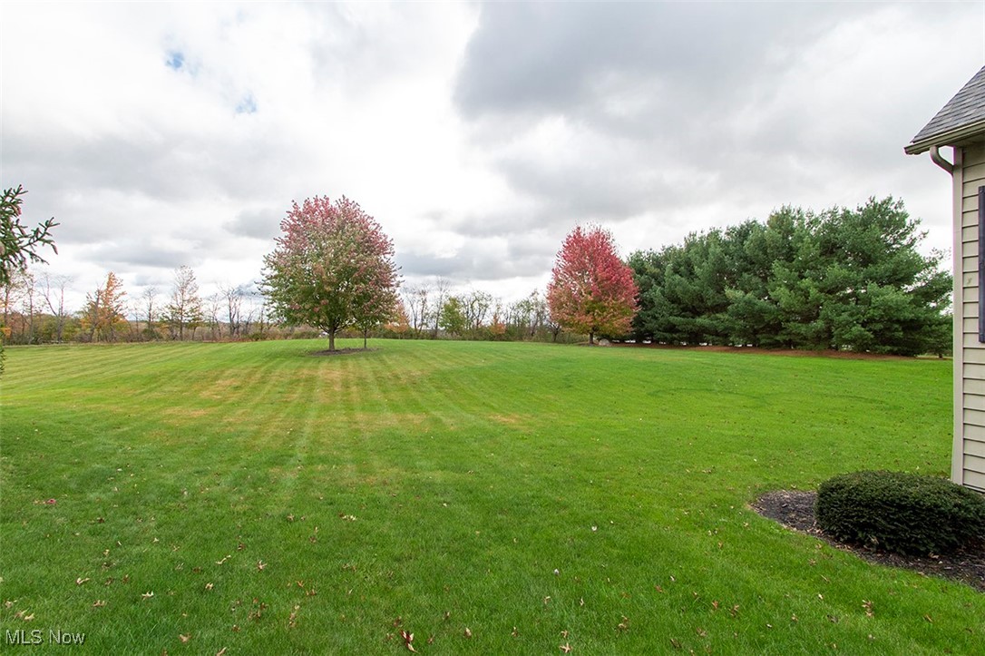 6349 Manor Glen Drive Medina OH 44256