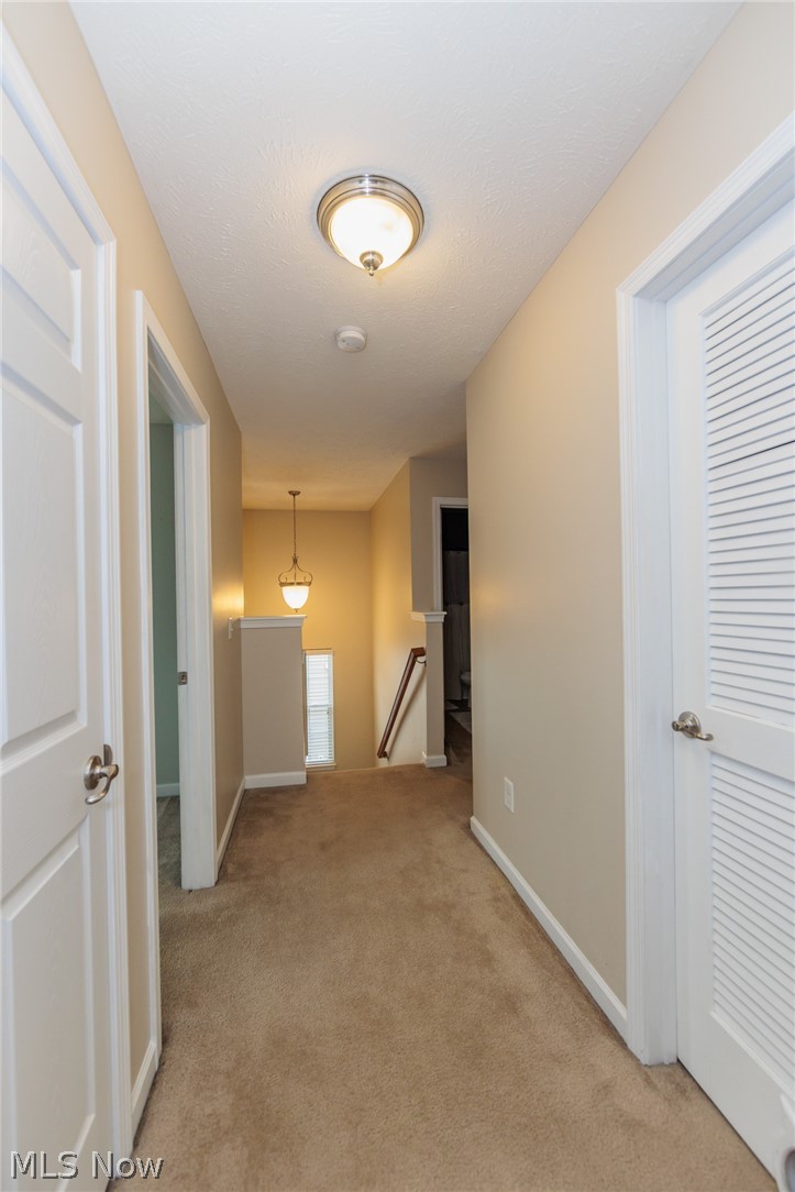 2951 Island Creek Drive Medina OH 44256