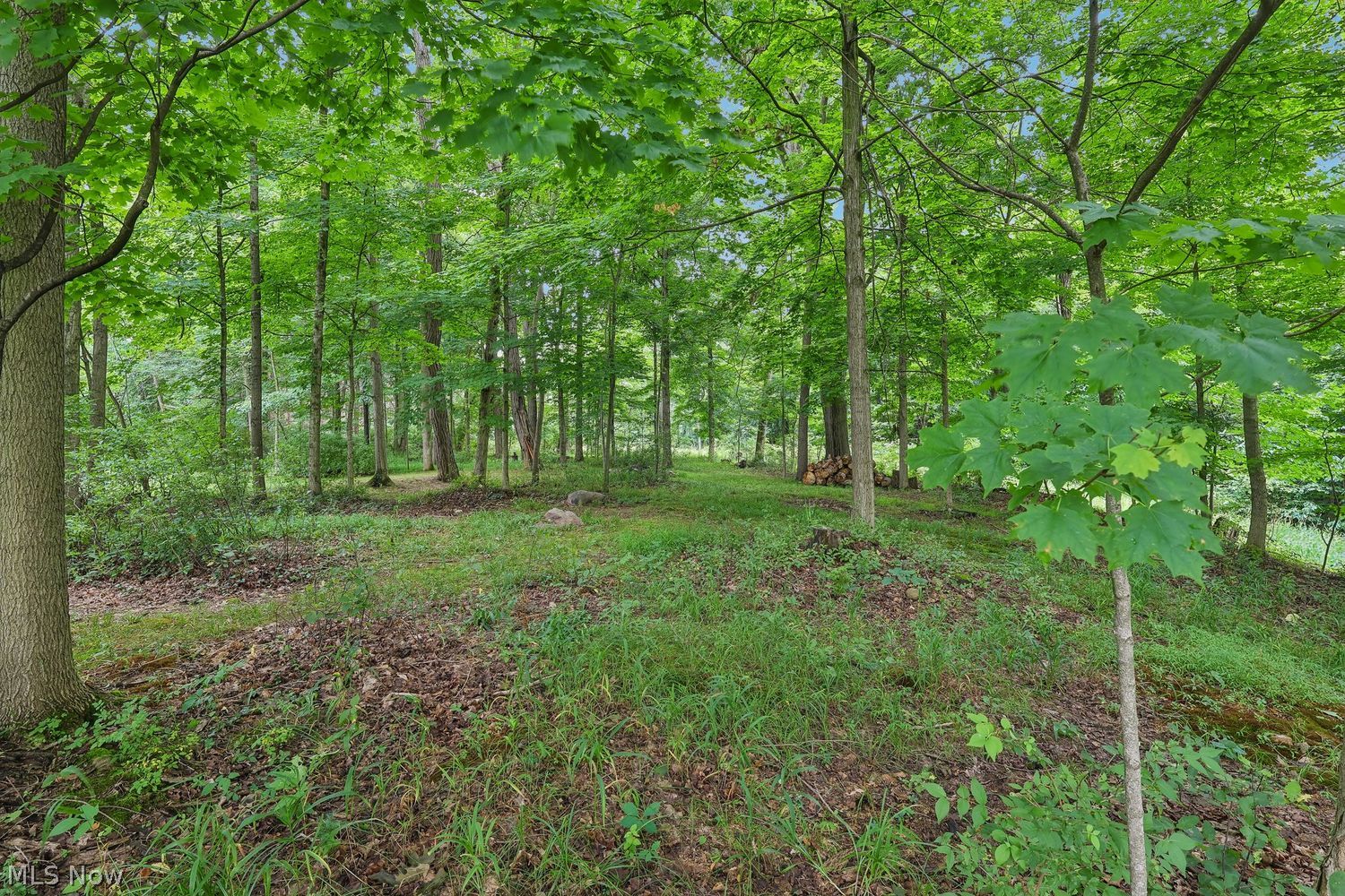 6081 Boston Road Valley City OH 44280
