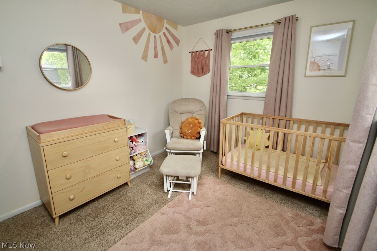 7301 Welland Drive Mentor OH 44060