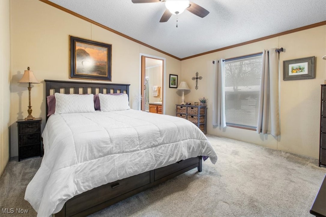 131 Birchbark Drive Elyria OH 44035