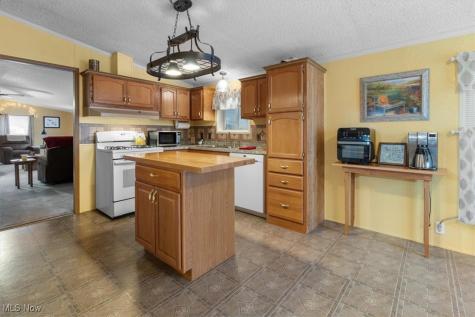 131 Birchbark Drive Elyria OH 44035