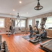 131 Birchbark Drive Elyria OH 44035