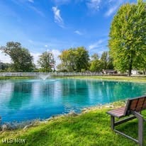 131 Birchbark Drive Elyria OH 44035