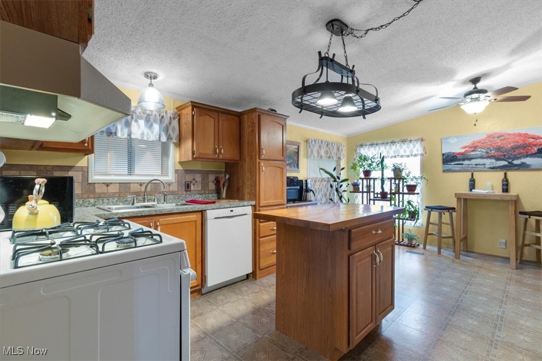 131 Birchbark Drive Elyria OH 44035