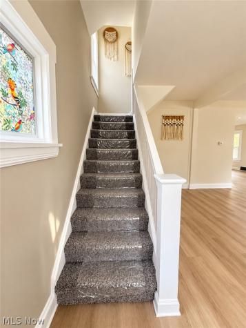 3856 W 17th Street Cleveland OH 44109