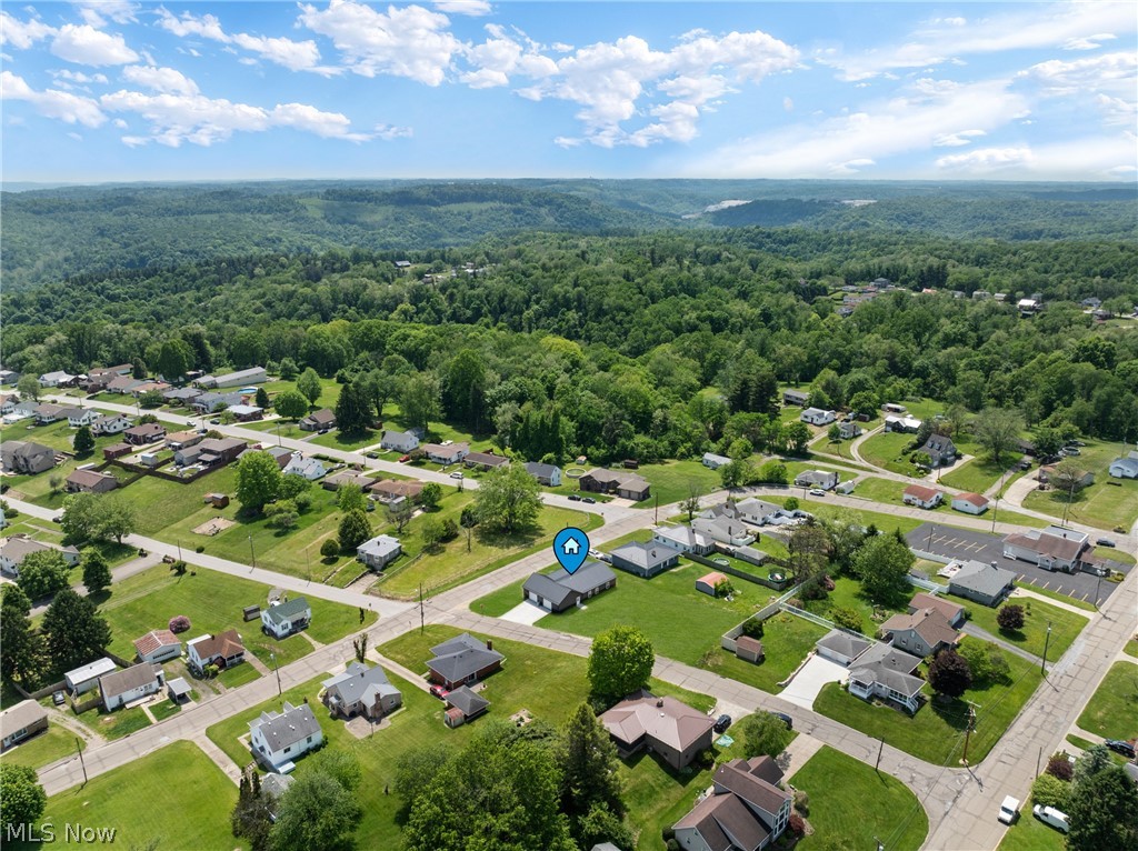 110 Carlisle Avenue Mingo Junction OH 43938