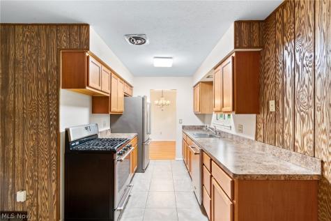6175 Barry Court Mentor OH 44060