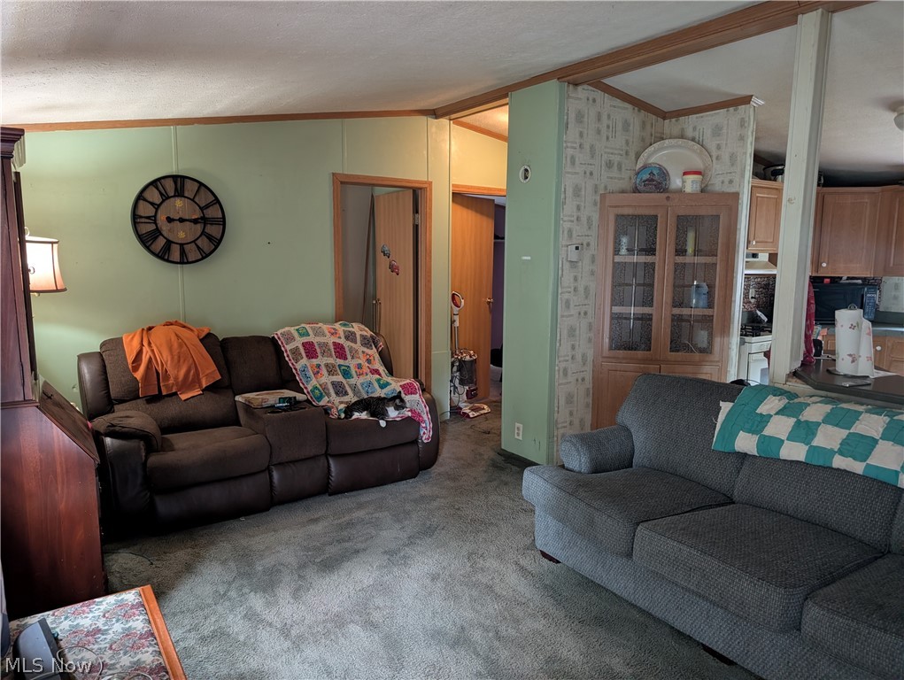 110 W Lebanon Road Dalton OH 44618