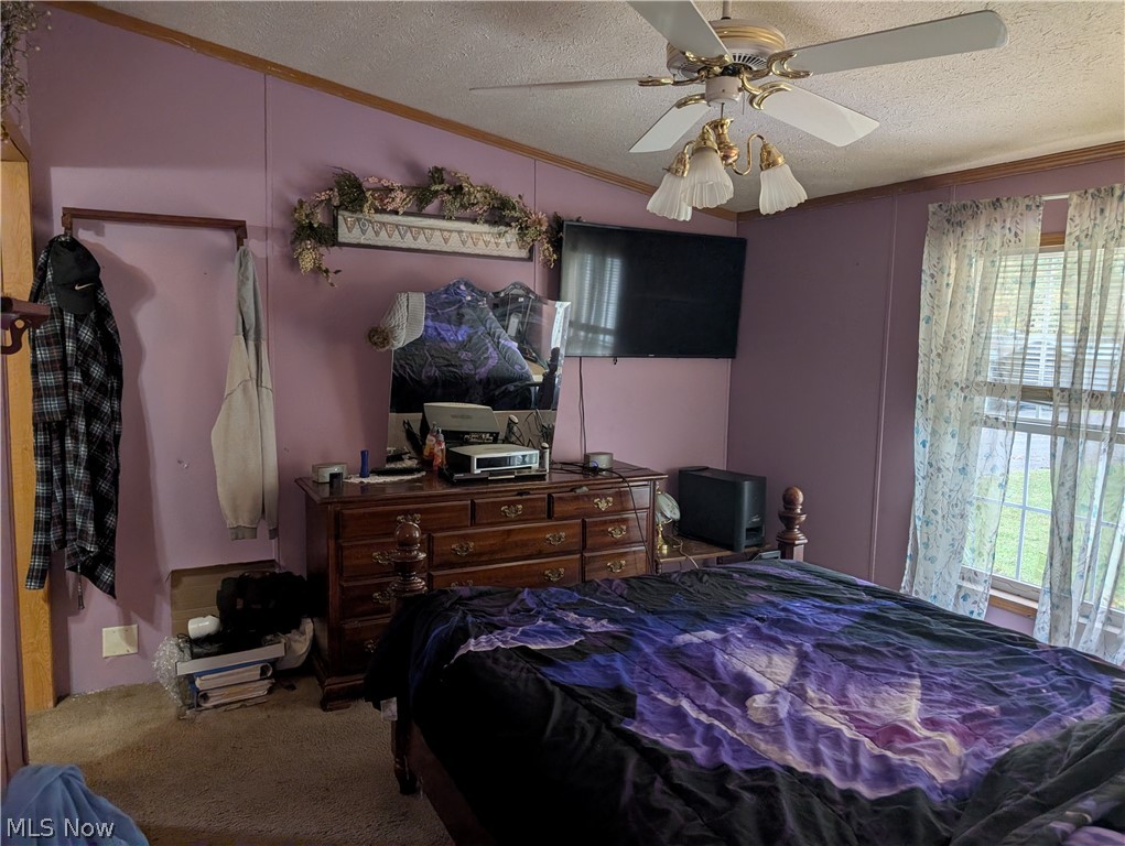 110 W Lebanon Road Dalton OH 44618