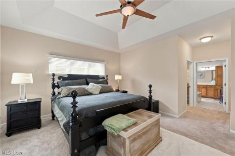 21 Bristol Lane Rocky River OH 44116