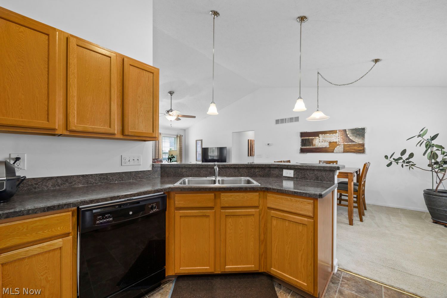 4505 Vineyard Drive Lorain OH 44053