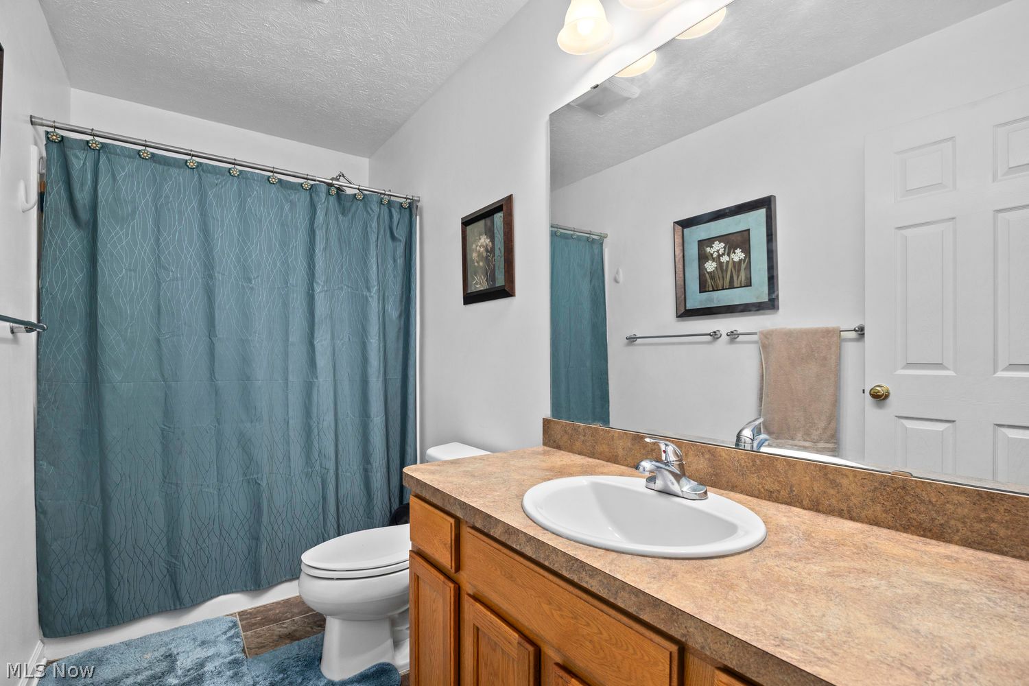 4505 Vineyard Drive Lorain OH 44053