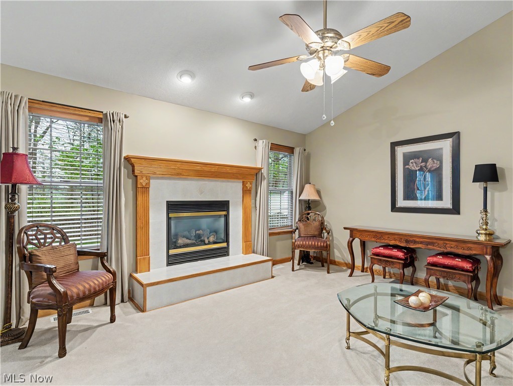 3671 White Oak Drive Norton OH 44203