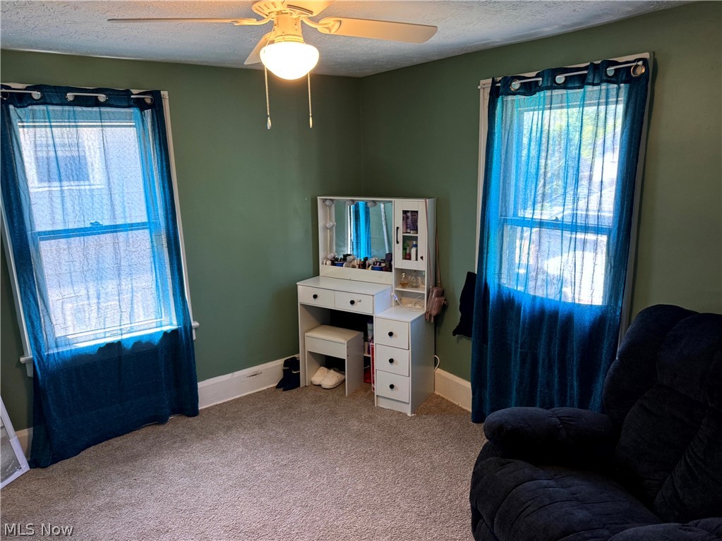 1170 Lily Street Akron OH 44301