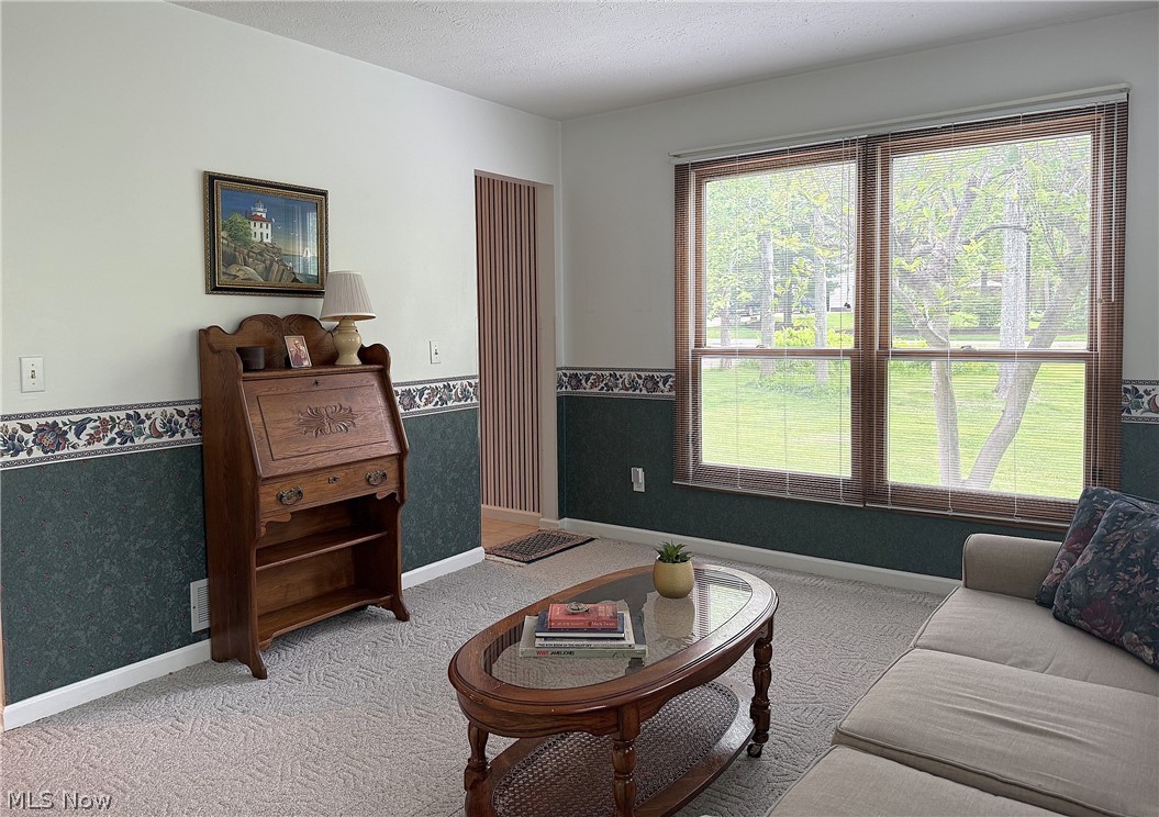 9109 Lake In The Woods Trail Chagrin Falls OH 44023