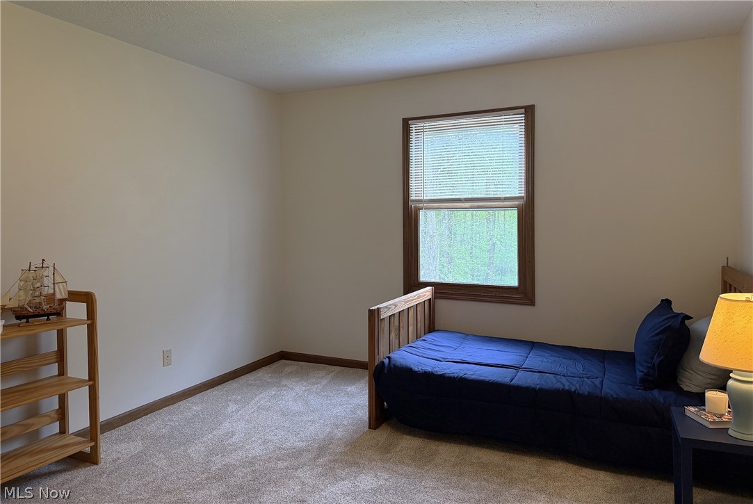 9109 Lake In The Woods Trail Chagrin Falls OH 44023
