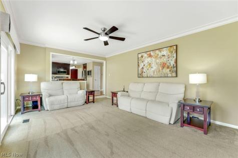 10287 Laura Lane Twinsburg OH 44087