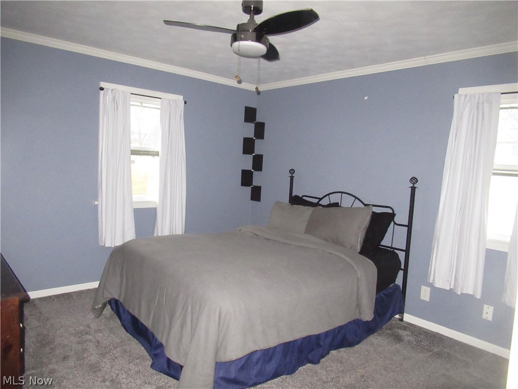 223 Fairview Avenue Canfield OH 44406