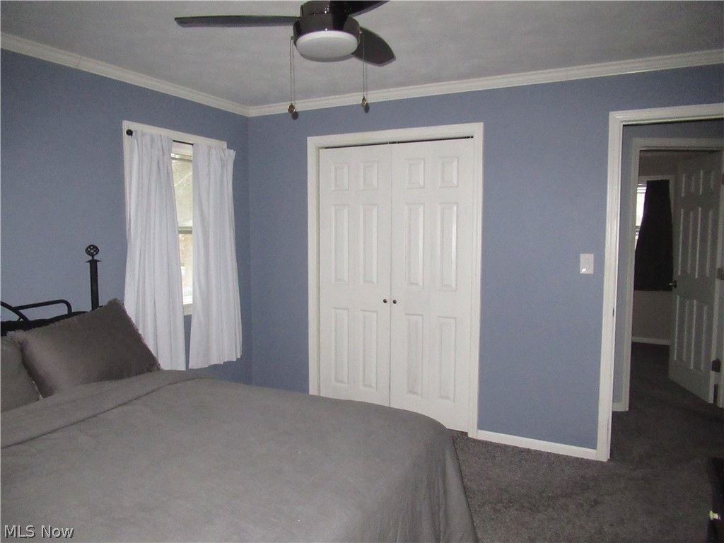 223 Fairview Avenue Canfield OH 44406
