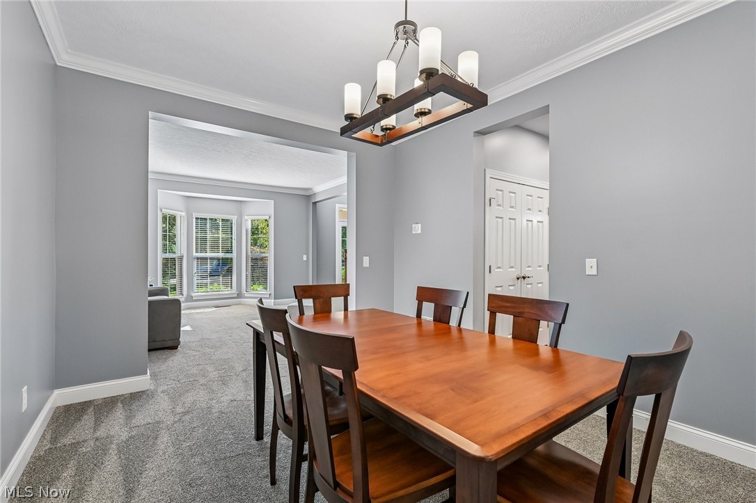 522 Long Cove Avon Lake OH 44012