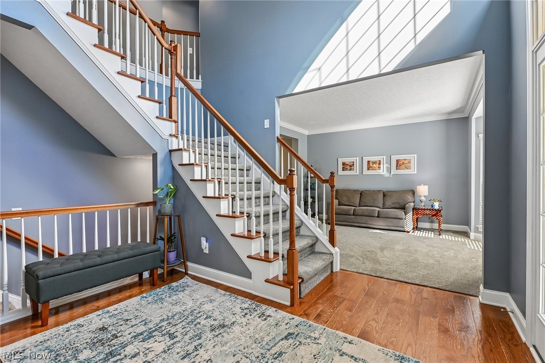 522 Long Cove Avon Lake OH 44012