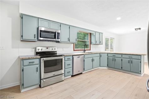 8010 Buffham Road Lodi OH 44254