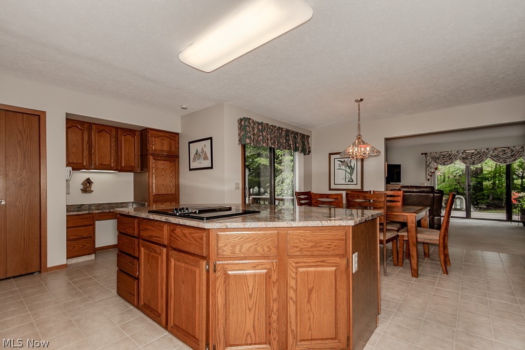 9731 Riverwood Lane Auburn OH 44023
