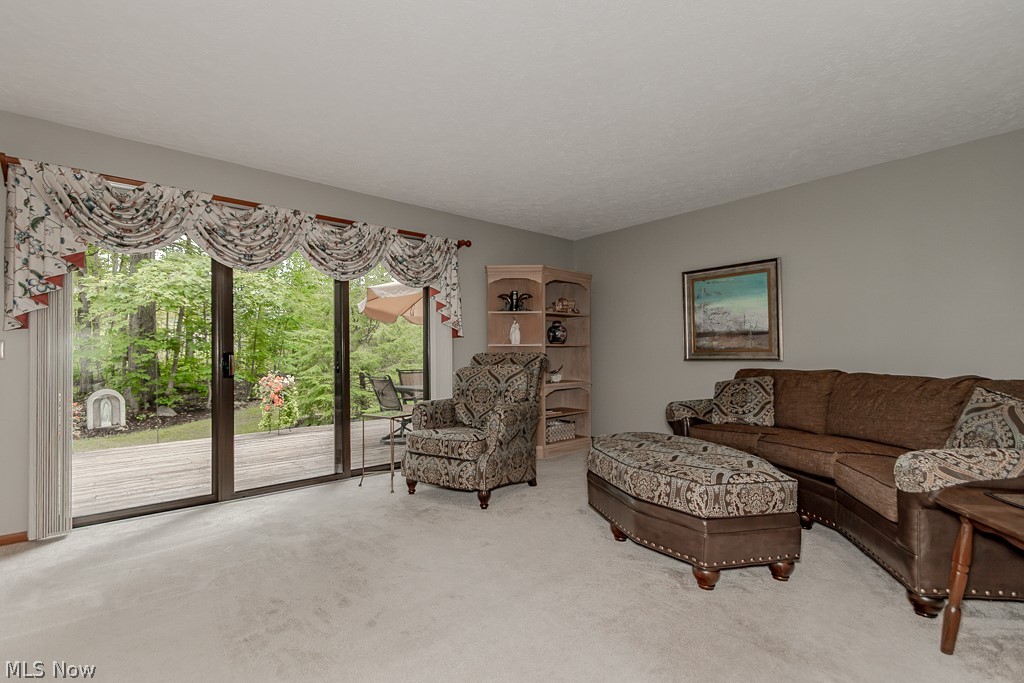9731 Riverwood Lane Auburn OH 44023