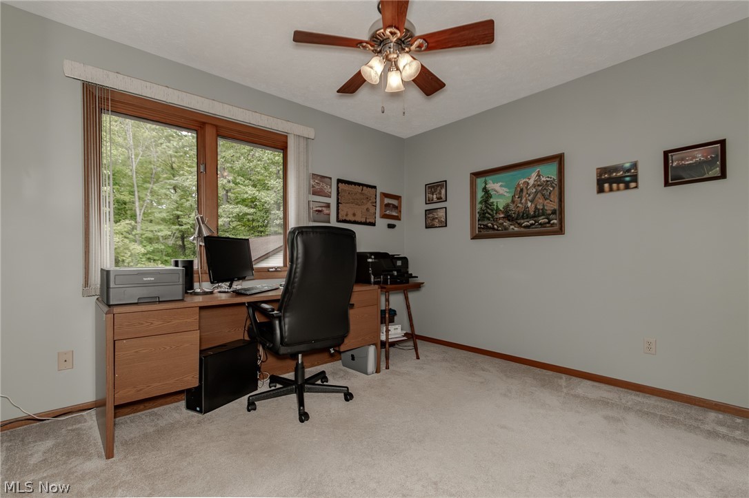 9731 Riverwood Lane Auburn OH 44023