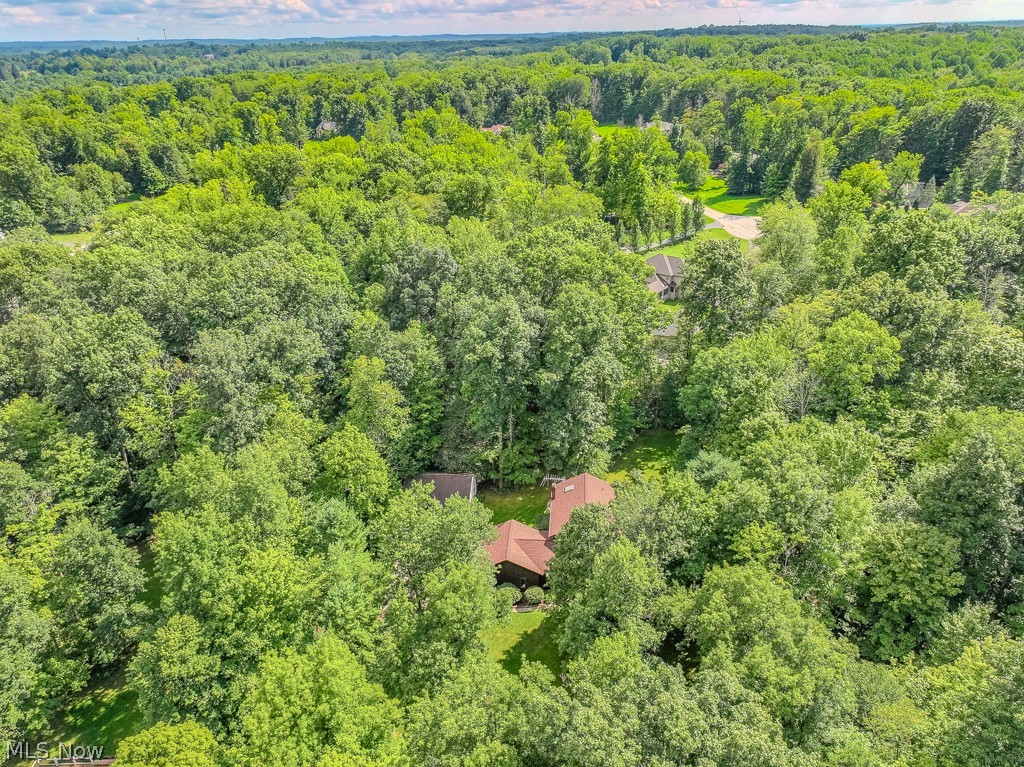 9731 Riverwood Lane Auburn OH 44023
