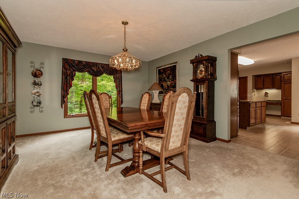 9731 Riverwood Lane Auburn OH 44023