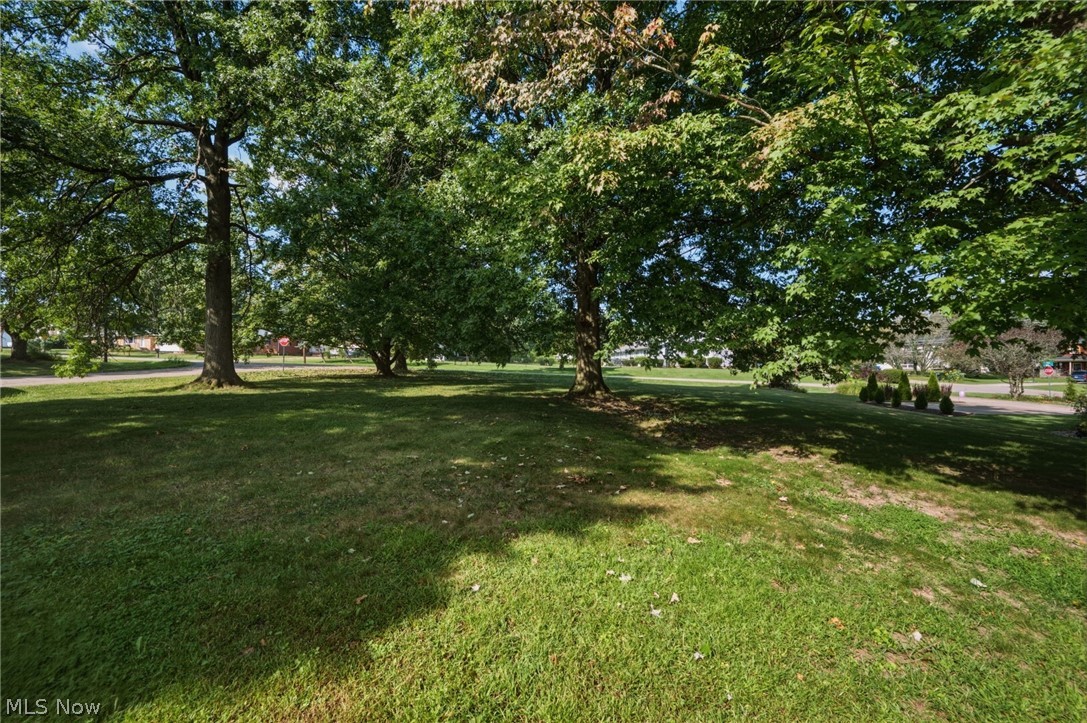 3197 Greenbrier Drive Norton OH 44203