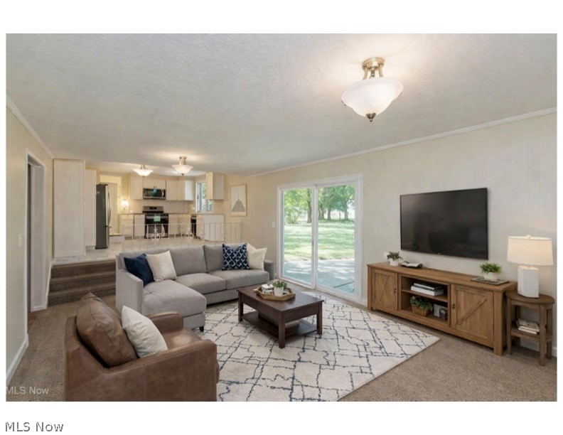 6258 Carlyle Drive Seven Hills OH 44131