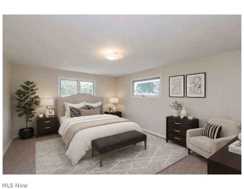 6258 Carlyle Drive Seven Hills OH 44131